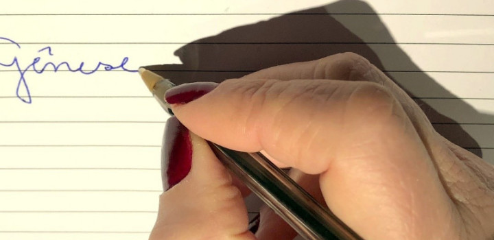 16-a-genese-grafica-800x400.jpg